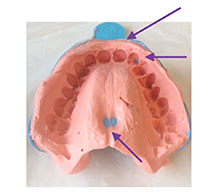 Alginate-article-1a