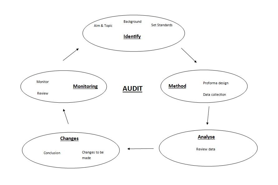 Audit Cycle