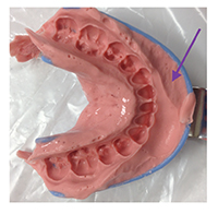 alginate5b