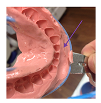 alginate6b