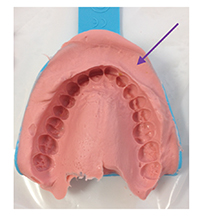 alginate7b