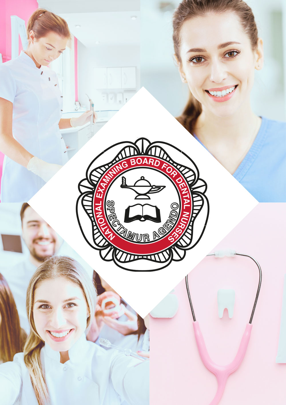 dental nurse diploma course 24