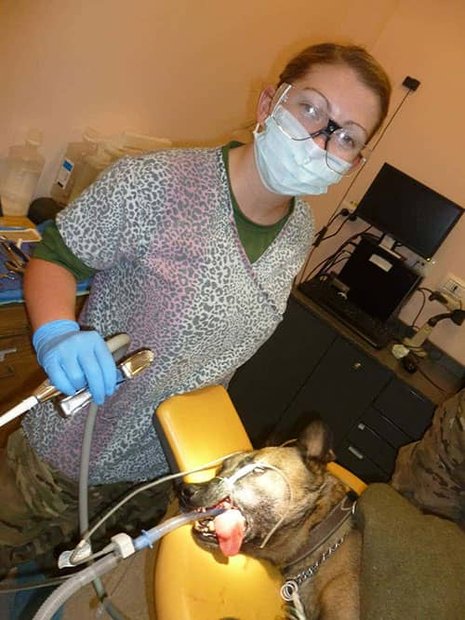 My Military Career