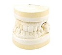 The History and Progression of Orthodontics